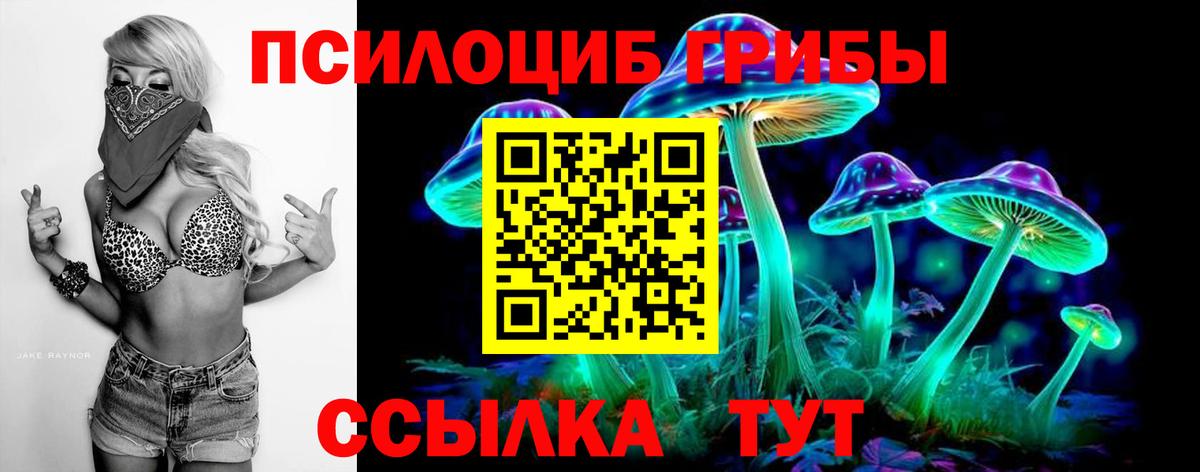 Реутов  где купить наркоту  Вход с VPN  Псилоцибиновые грибы GOLDEN TEACHER 